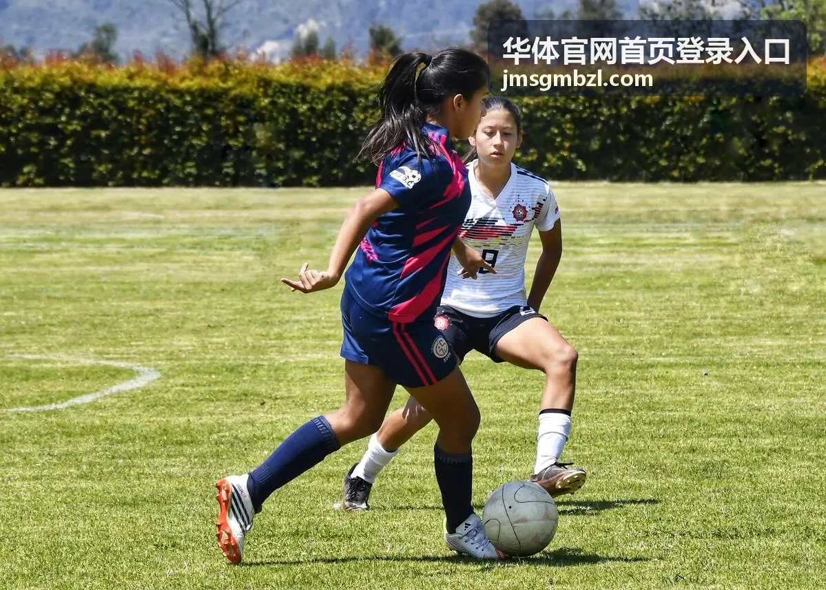 华体体育综合服务主场馆